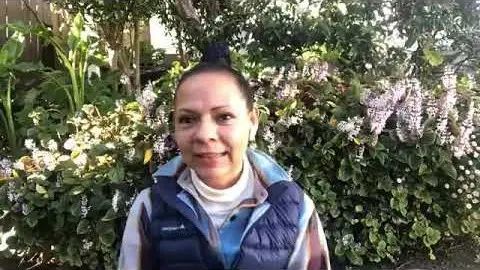 Podcast: Epifanias, Sueños y Revelaciones.