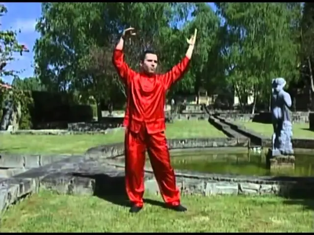 Tai Chi Chi Gong (25 min) NO es espejo