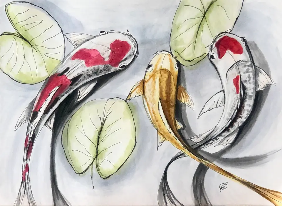 Koi