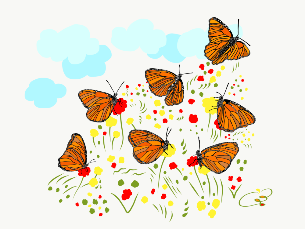 Mariposa monarcas mensajeras